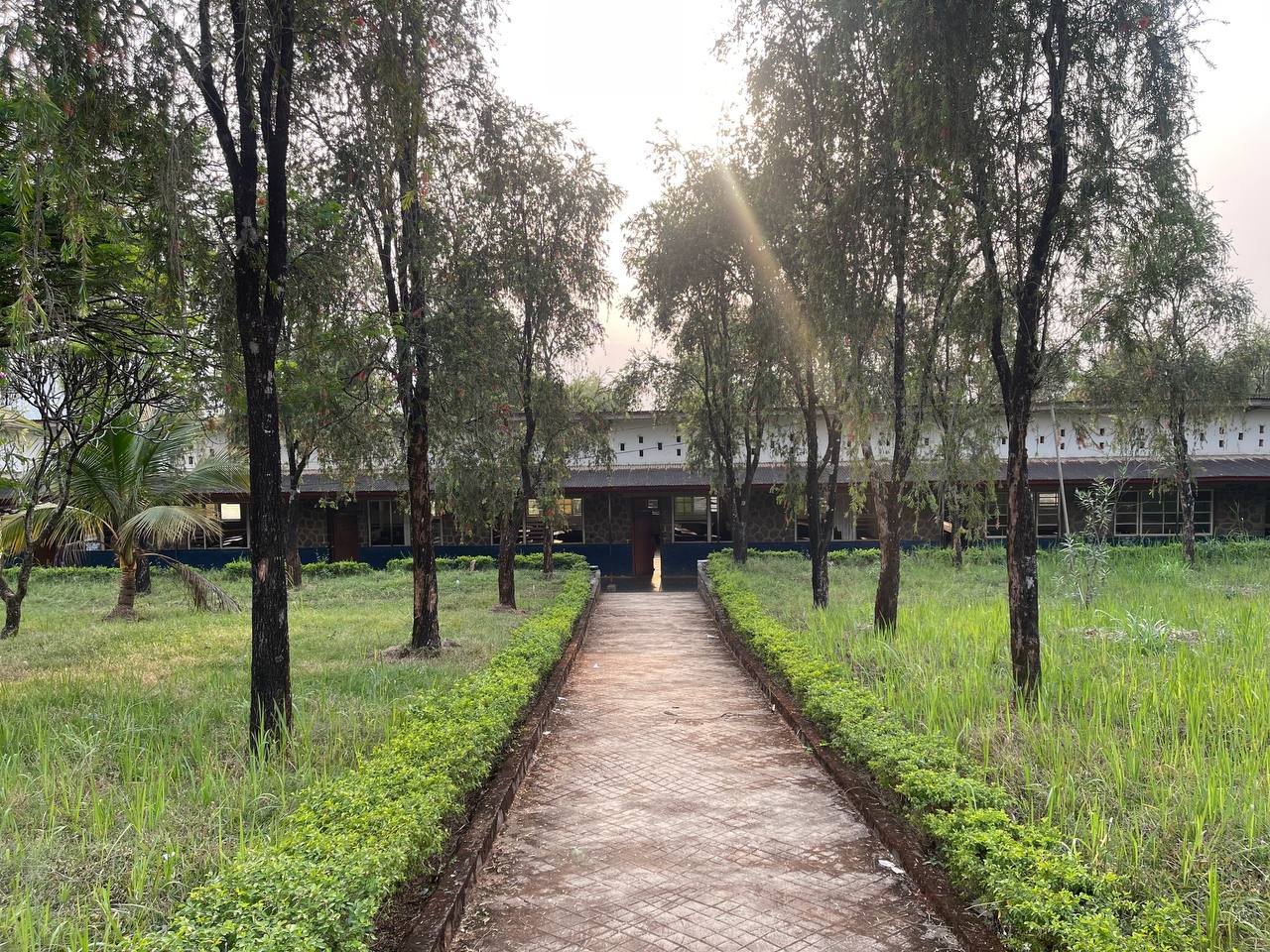 photo_2026-01-26_03-05-30